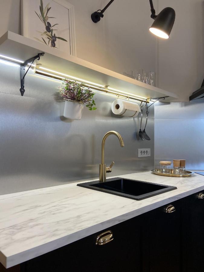 לובליאנה Apartment Breg - Old Town River מראה חיצוני תמונה